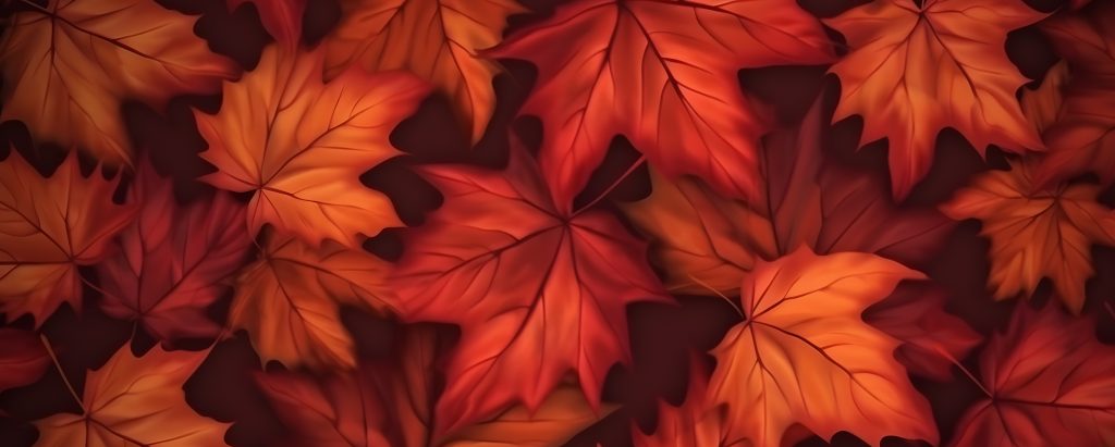 Autumn maple leaves background