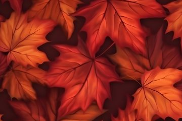 Autumn maple leaves background